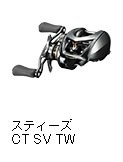 STEEZ CT SV TW 700XH 00613534